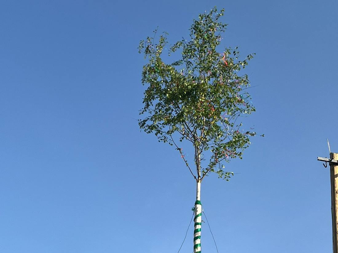 Maibaumstellen in Klötitz